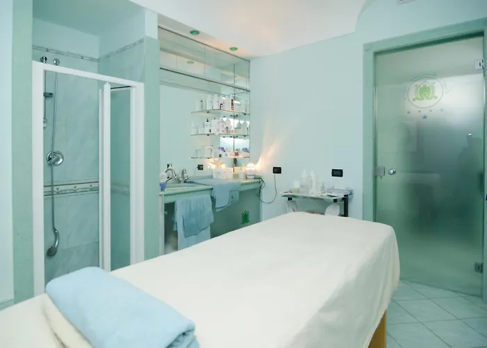 Отель Felix Terme